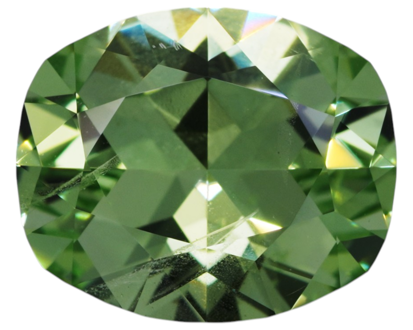 2.96 carats Merelani Mint Garnet - cushion shape